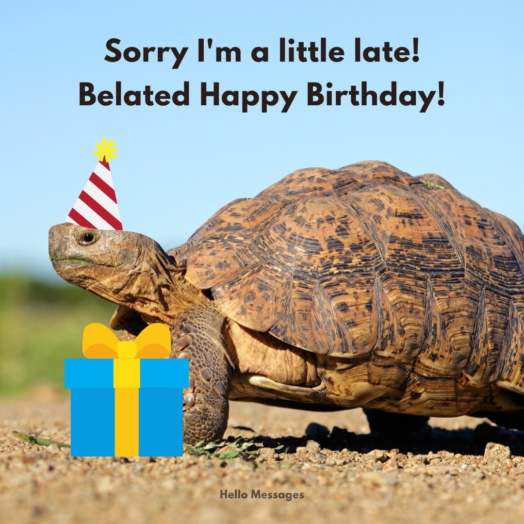 49 Belated Happy Birthday Messages To Say Sorry For Being Late