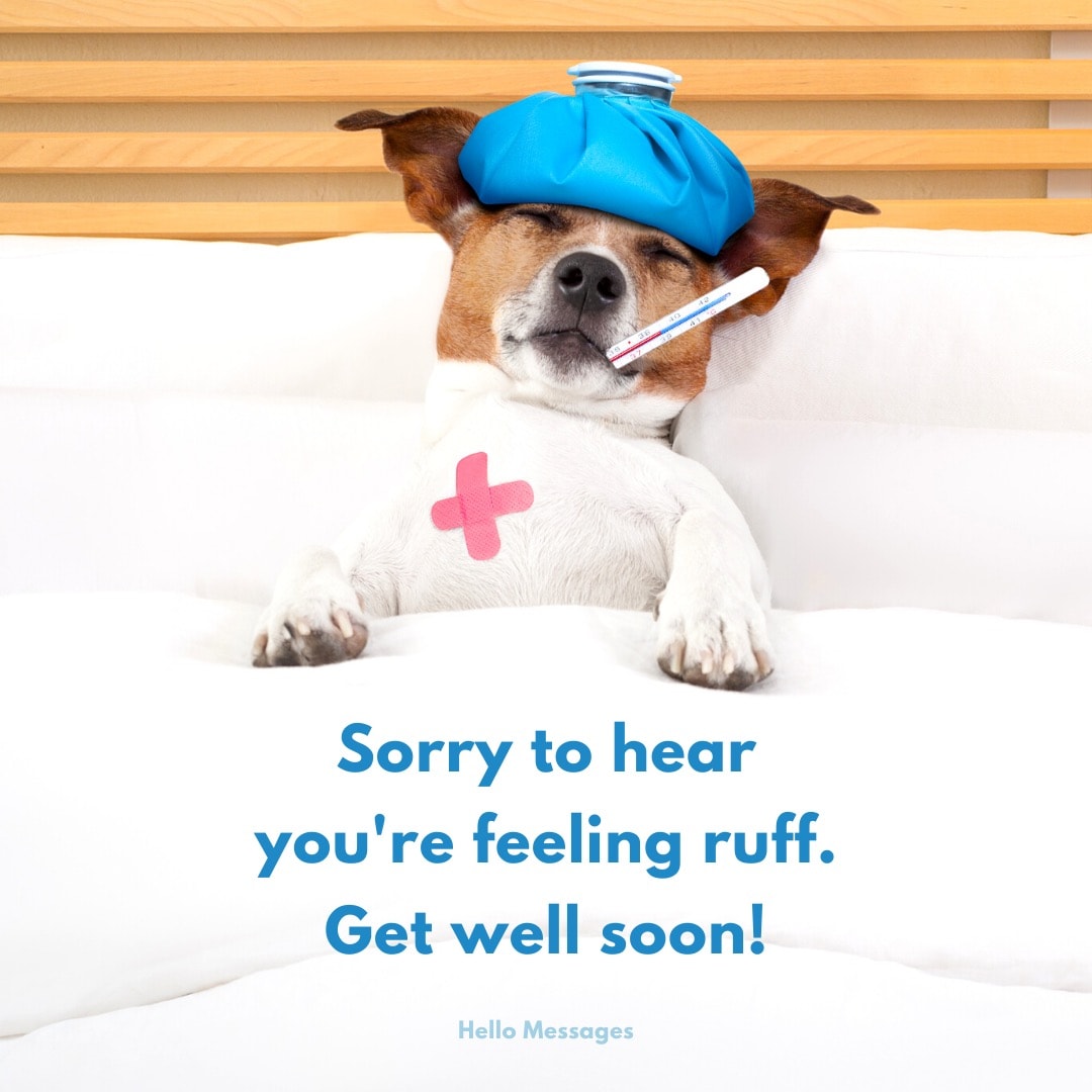 13 Get Well Soon Messages To Wish For A Fast Recovery