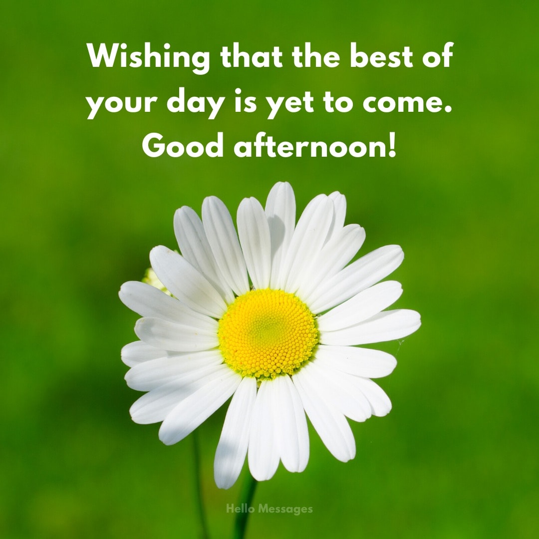 25 Good Afternoon Messages To Warmly Greet Your Friends