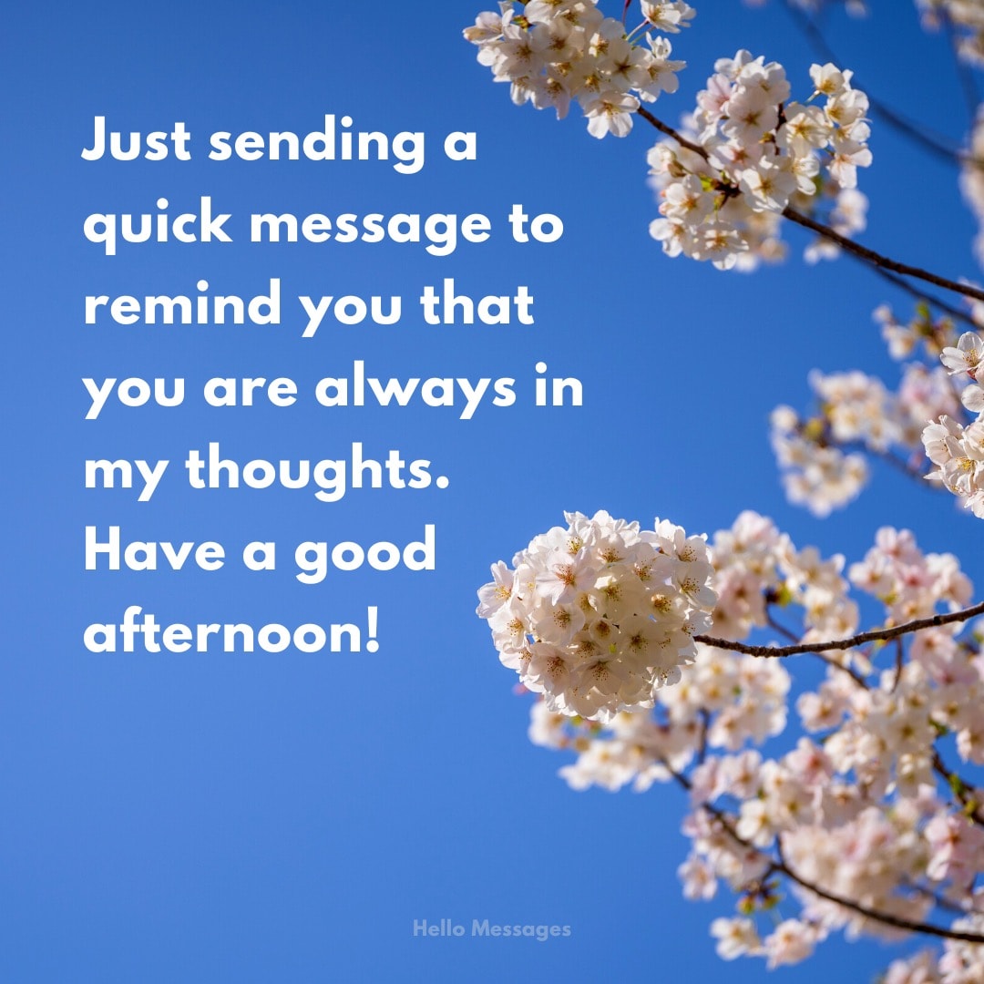 Good Afternoon Friendship Messages Good Afternoon Friendship Messages