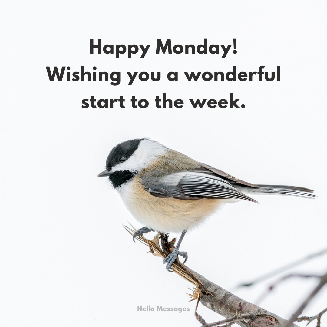 Happy Monday! Wishing you a...