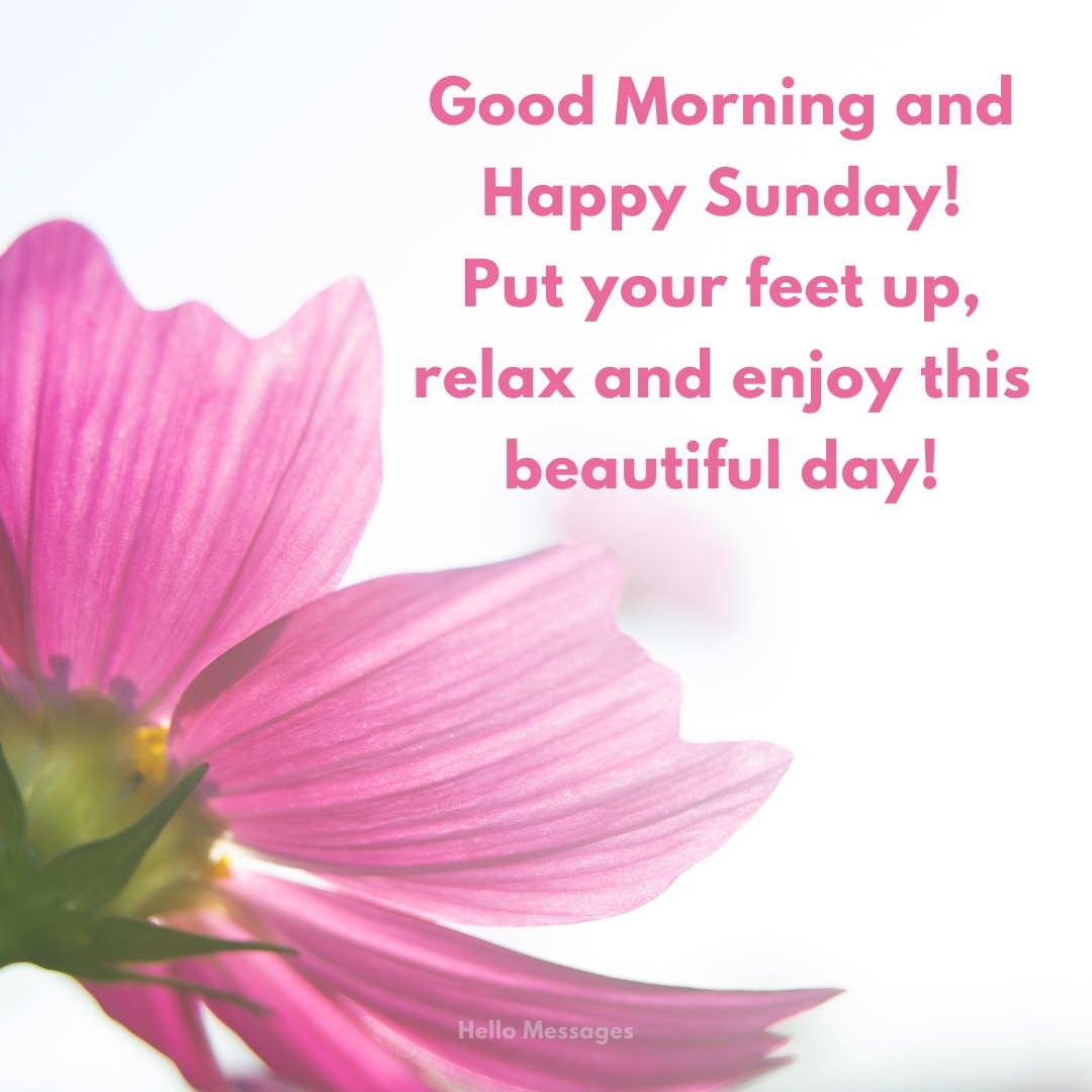 Good morning and happy Sunday!...