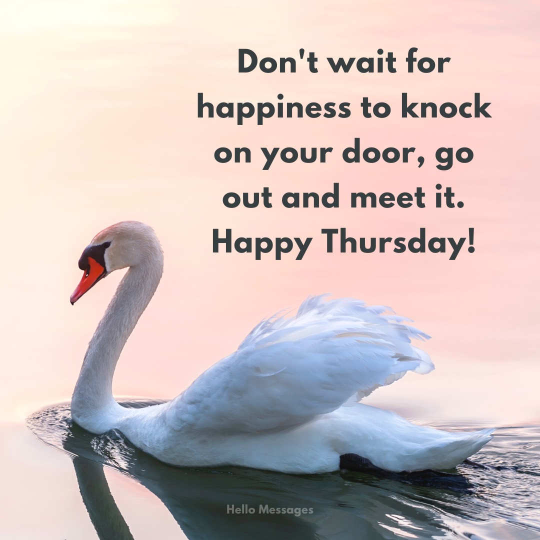 Don't wait for happiness to...